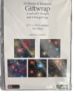 Picture of 10 Sheet of Mix Designer Luxury Soft touch Foiled Christmas Giftwrap Celebration GW003