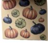 Picture of Autumn Browns and Oranges Design Pad: 6 x 6 Inches NEW autumn paper pad