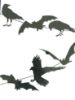 Picture of Halloween Party Hanging Decorations Crows & Bats Scary Banner New 1.25 metres
