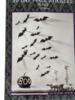 Picture of 30 x 3D Halloween wall stickers Bat wall stickers NEW   black packet
