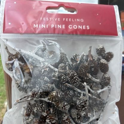 Picture of mini dark Natural Dried Pine Cones Mini Size Wreath christmas craft pine cones NEW