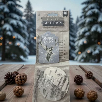 Picture of 10 x  blue silver gift tags two designs stag on blue and winter wonderland New