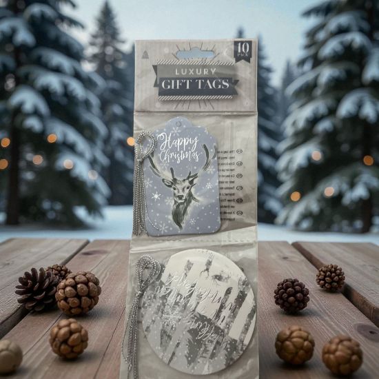 Picture of 10 x  blue silver gift tags two designs stag on blue and winter wonderland New