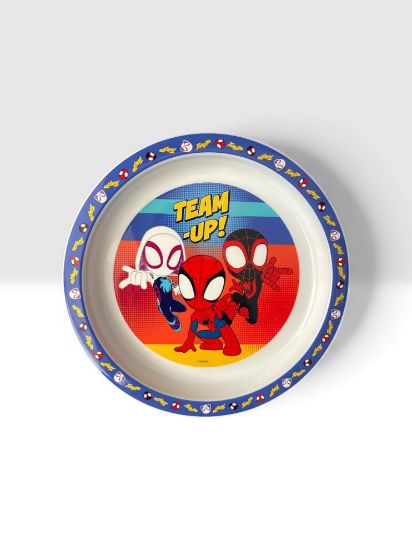 Picture of Team Up Spiderman Plate Spidey Plate 21 cm
