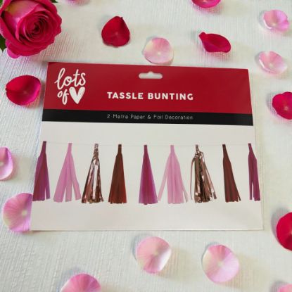 Picture of Valentines Day Tassle bunting Banner Paper & foil decoration 2 metre NEW tassel bunting