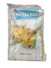 Picture of Child Swimming Arm Bands 23 x 15 cm ice lolly design New age 3-6 years