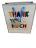 Picture of Thank you Teacher Gift Bag Medium thank you so much