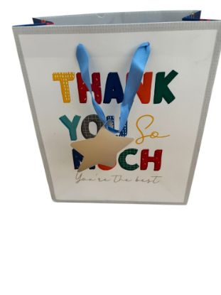 Picture of Thank you Teacher Gift Bag Medium thank you so much