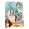 Picture of Disney Moana Swimming Armbands (Age 3 - 6) - New