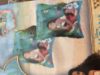 Picture of Disney Moana Swimming Armbands (Age 3 - 6) - New