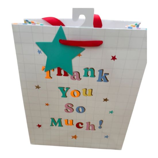 Picture of Thank you Teacher Gift Bag Medium thank you so much teacher bag
