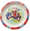 Picture of Spiderman Plate 21 cm  super-hero